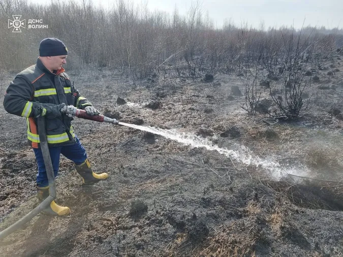 Волинь охопила хвиля пожеж: за добу – 28 загорянь (фото)