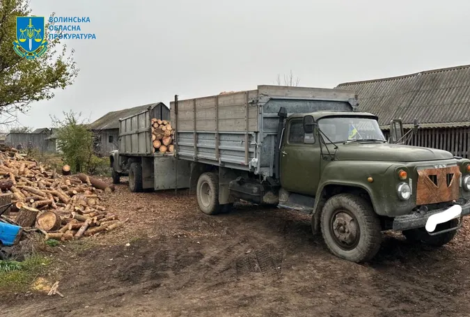 Знищили понад 1100 дерев: на Волині викрили організовану групу крадіїв лісу (фото)