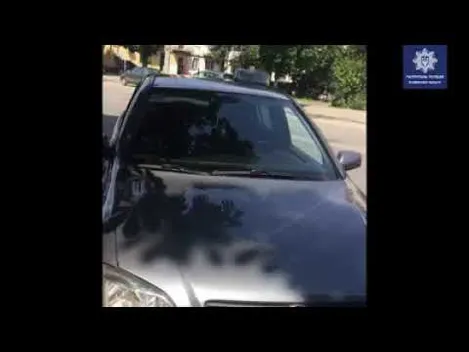 У Луцьку патрульні зупинили нелегальне таксі (відео)