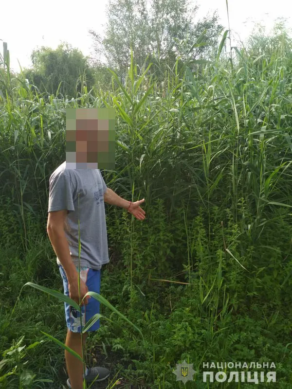 Гроші, цінні монети та нагороди: у Рожищі «обчистили» будинок (фото)