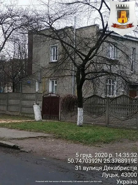 За спиляне дерево лучанин заплатить штраф (фото)