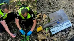 До лісу не по гриби: на Рівненщині двоє волинян закопали 100 «закладок» з наркотиками (фото)