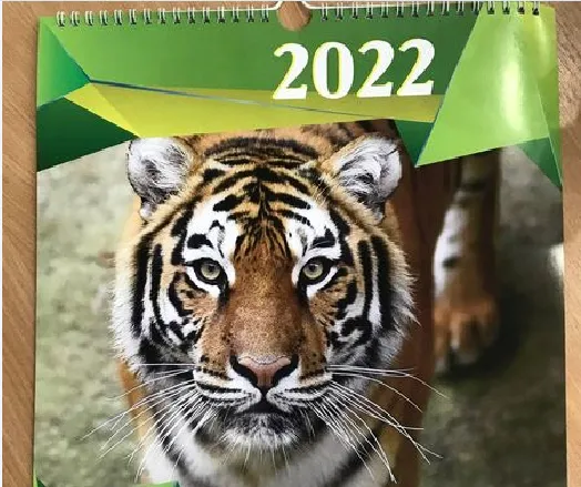 Рік тигра: «Луцький зоопарк» випустив календар на 2022 рік (фото)