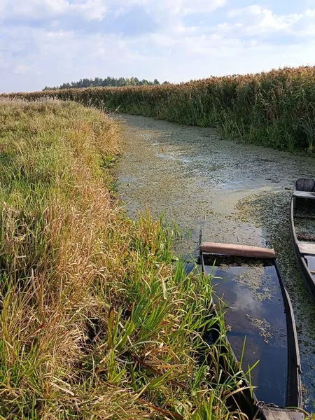 Стохід стрімко міліє: на Волині річка місцями повністю пересохла (фото)