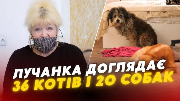 Лучанка живе з 36 котами й 20 собаками (відео)