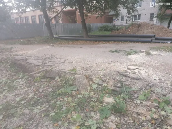 Законно чи ні: у Луцьку на проспекті Соборності зрізали дерева (фото, відео)