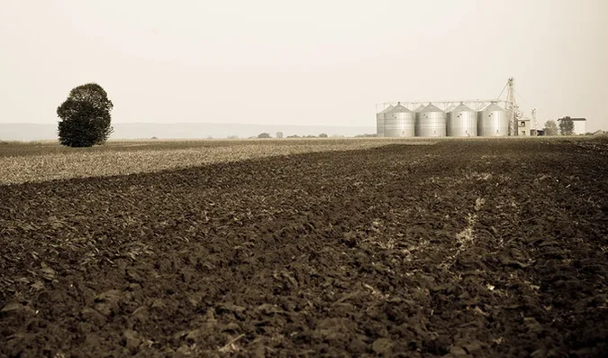 Мораторій на продаж землі продовжили: як голосували волинські нардепи