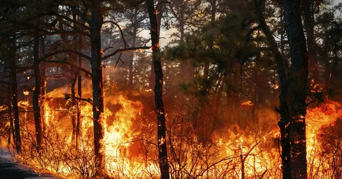 На Волині – знову надзвичайна ситуація через спеку