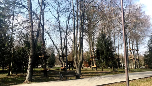 Безлюдна автостанція і «туси» в парку: як карантинить Луцьк 19 березня (фото)