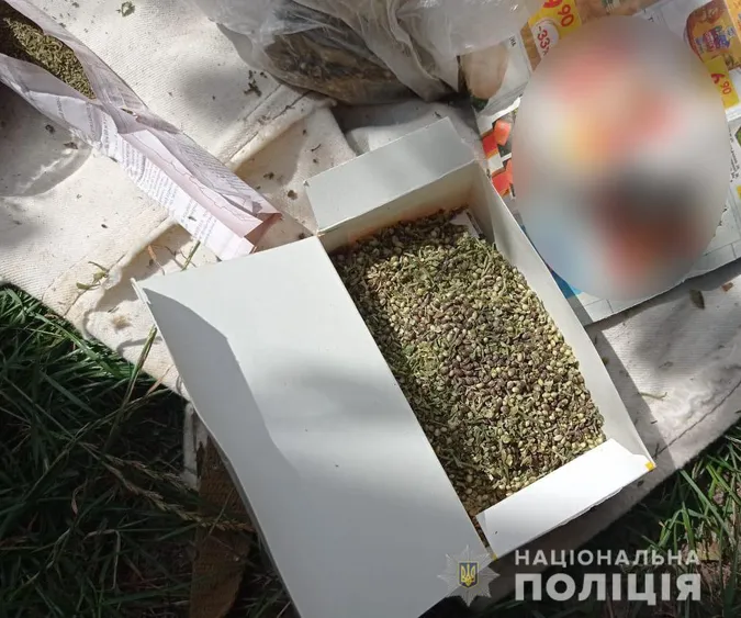 Мак і коноплі: волинянин вирощував на городі наркотичні рослини (фото)