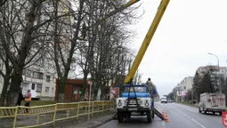 У Володимирі на Ковельській кронують дерева (фото)