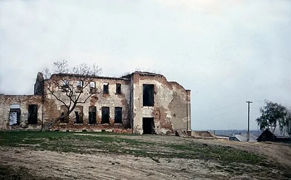 Руїни Зимненського монастиря, 1988 рік