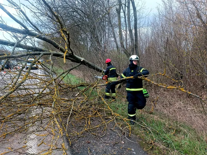 Сильний вітер повалив дерева на автівку та хату в Луцькому районі (фото)
