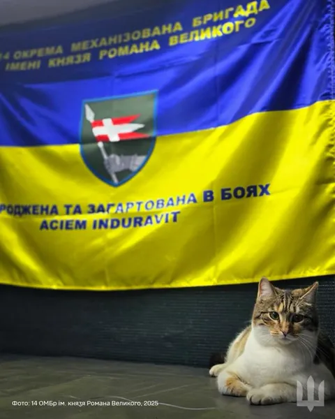 Бійці волинської бригади показали чотирилапу помічницю Фісташку (фото)