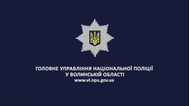 На Волині затримали банду викрадачів елітних автомобілів (фото, відео)