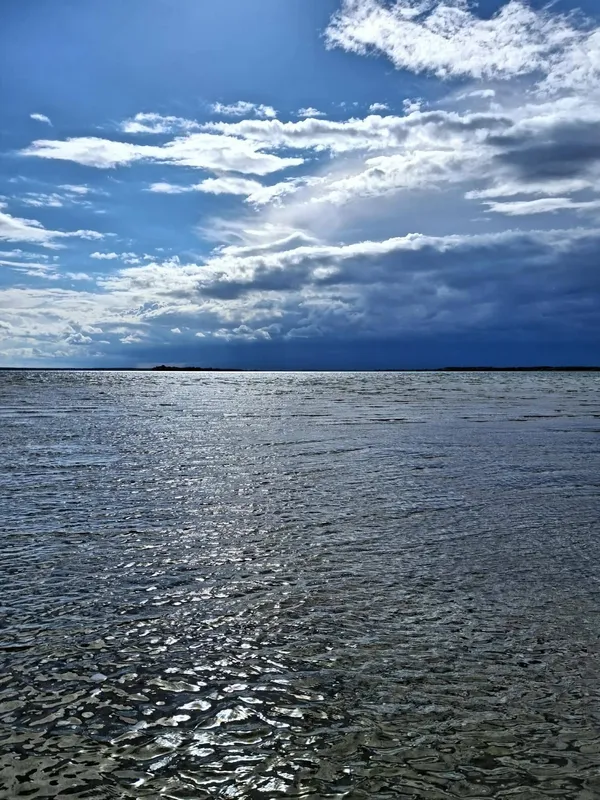 Світязь вразив незвичним видовищем: вода в озері стала схожою на рідке срібло (фото)