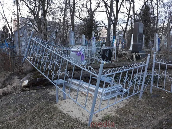 Пам’ятники розбиті: у Ковелі на кладовищі вітер повиривав дерева з корінням (фото, відео)