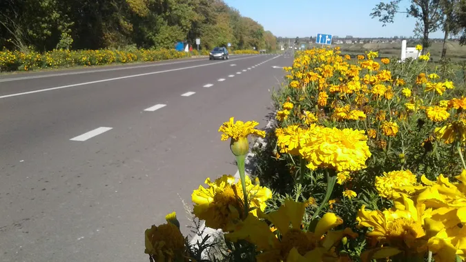 Волинські патрульні посилюють контроль за дотриманням ПДР