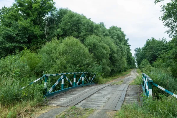 На Волині заховався унікальний куточок дикої природи, де мешкають бобри та видри (фото)