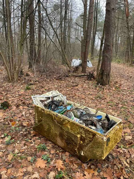 З лісу на Волині вивезли 8 величезних причепів сміття (фото)