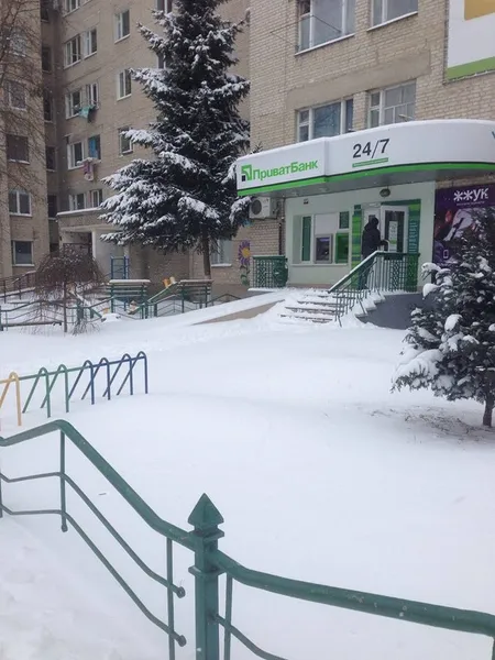 «Кому треба, той долізе»: як луцькі підприємці «чистяться» від снігу (фото)