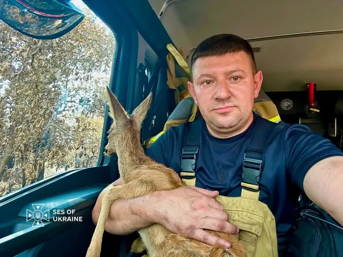 Українські надзвичайники врятували козуленя під час пожежі у Франції (фото)