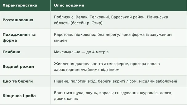 «Чифірний» колір та карстові глибини: на Поліссі серед лісів і боліт заховалося мальовниче озеро з островом у центрі (фото, відео)