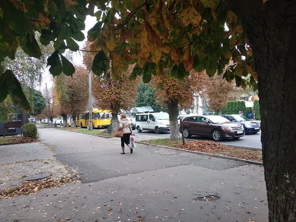 Луцьк стоїть у заторах: ремонтують дорогу (фото, відео)