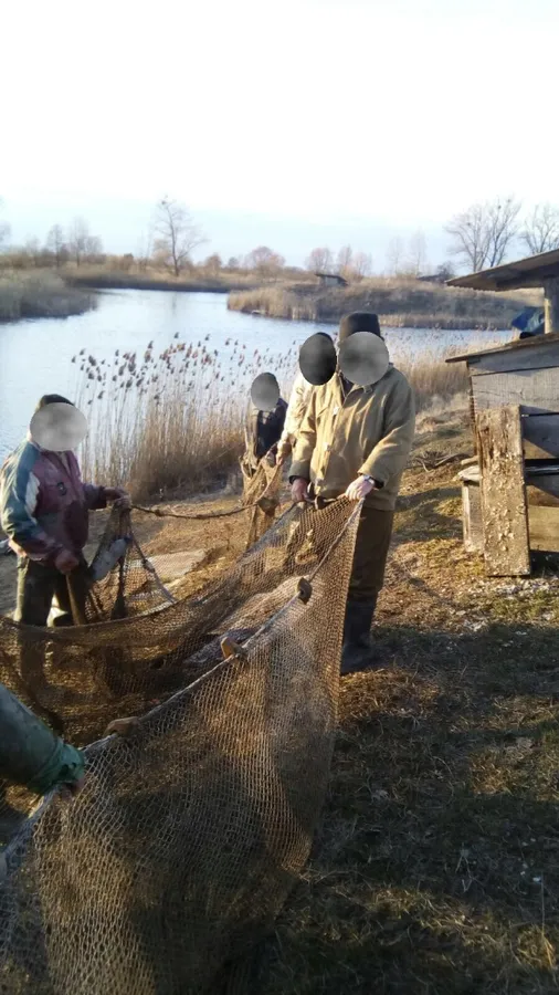 На Волині браконьєри наловили 100 кілограмів риби неводом (фото)