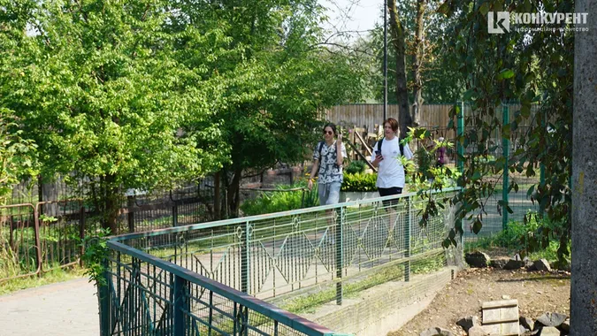 Спека і мокрі носики: останні дні серпня у Луцькому зоопарку (фото)
