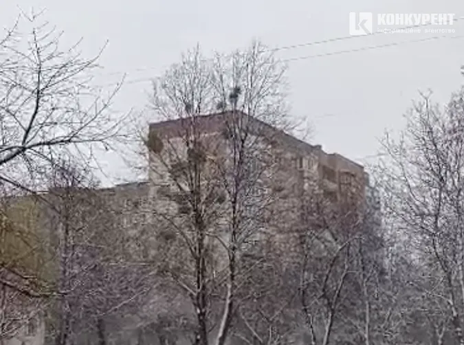 Засніжений березневий Луцьк (фото)
