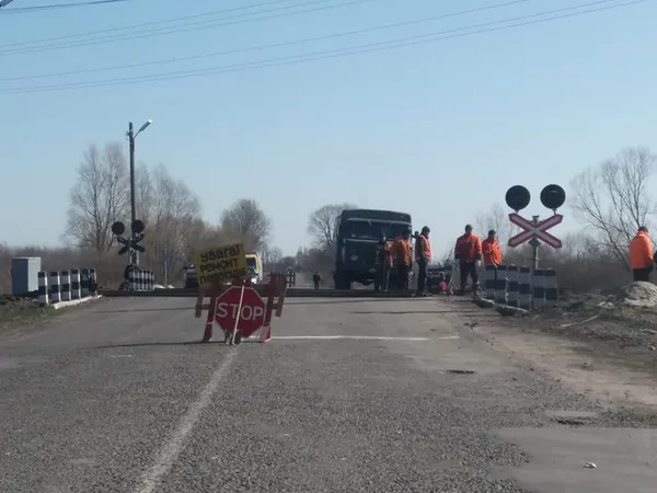 На Волині в лісі знайшли туші дохлих свиней (ФОТО. 18+)