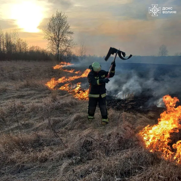Волинь палає: рятувальники бʼють на сполох через постійні пожежі (фото)
