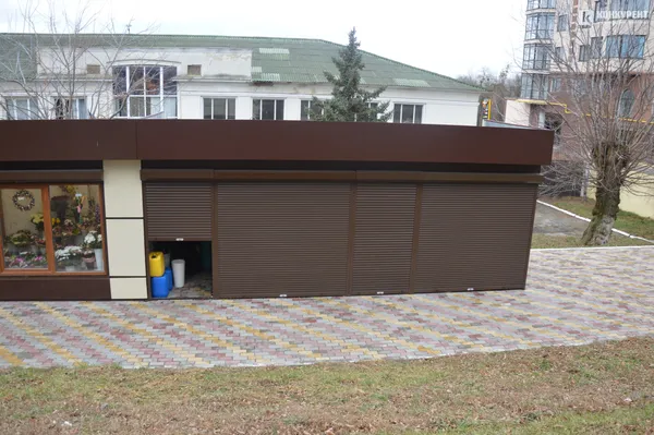 У Луцьку квіткарі розповіли, чи покращилася торгівля після переселення до філармонії