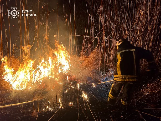 На Волині посеред зими палає сухостій (фото)