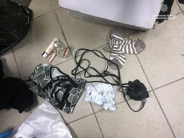 Від трусів до алкоголю: що крадуть у Луцьку напередодні свят (фото)