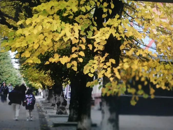 «Теплі» світлини: який він жовтогарячий осінній Луцьк