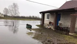 На Волині затопило понад вісім тисяч гектарів сільгоспугідь: де найбільше (відео)