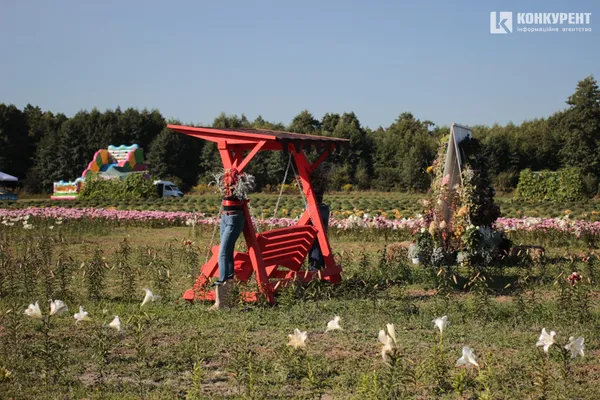 Осіння «Волинська Голландія»: що і за скільки можна купити (фото)