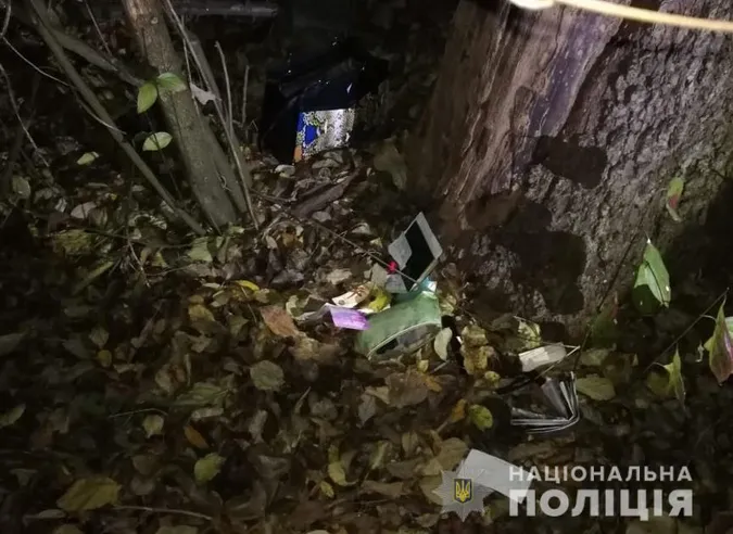 Вирвав сумку з рук і втік: у Володимирі пограбували пенсіонерку