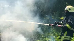 За добу на Волині вогонь знищив пів гектара рослин (фото)