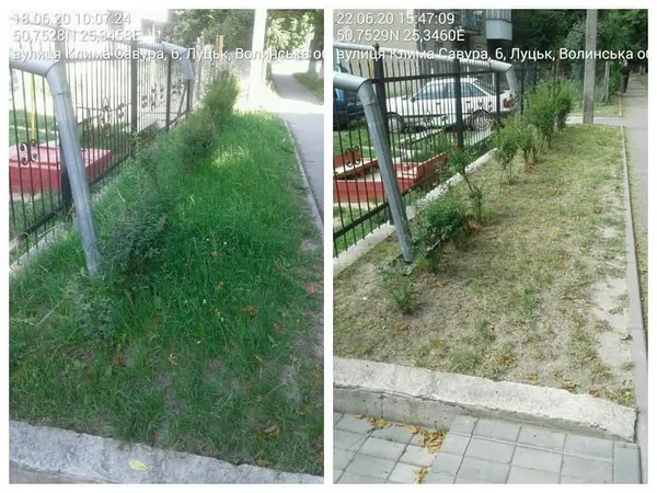 Не вище 15 сантиметрів: лучан змусили скосити траву (фото)