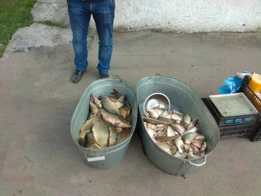 «Балії з рибою на Грушевського ставити не треба», – Поліщук