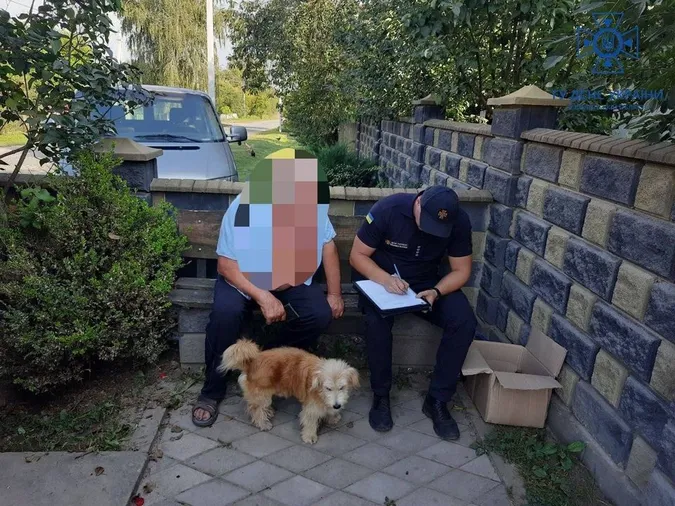 Горіло майже три години: знайшли чоловіка, який підалив суху траву поблизу Олики