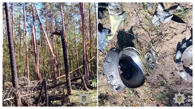 Лісничий знайшов уламки ворожого боєприпасу в лісі на Рівненщині (фото)