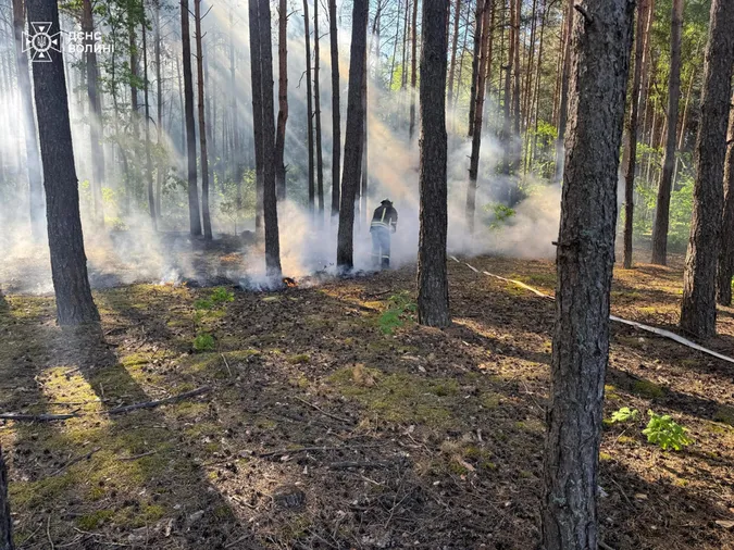 Горять гектари: на Волині рятувальники гасять масштабну лісову пожежу (фото)