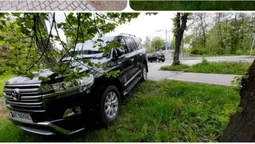 «Автохам» вмостився на газоні центрального парку в Луцьку (фото)