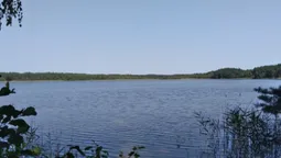 Заховалось серед соснового лісу: показали світлини мальовничого озера Згоранське (фото)