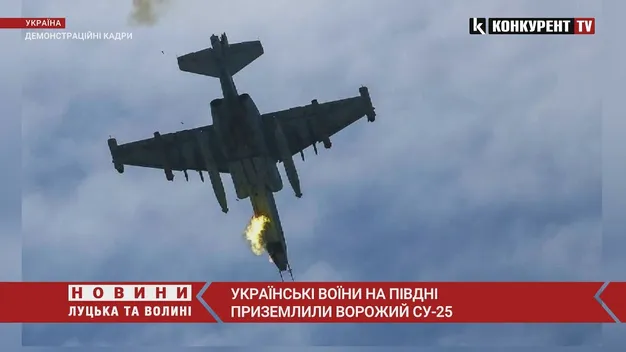 Українські воїни на Півдні приземлили ворожий Су-25 (відео)