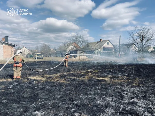 Палало по всій Волині: рятувальники гасили масштабні пожежі сухостою (фото)